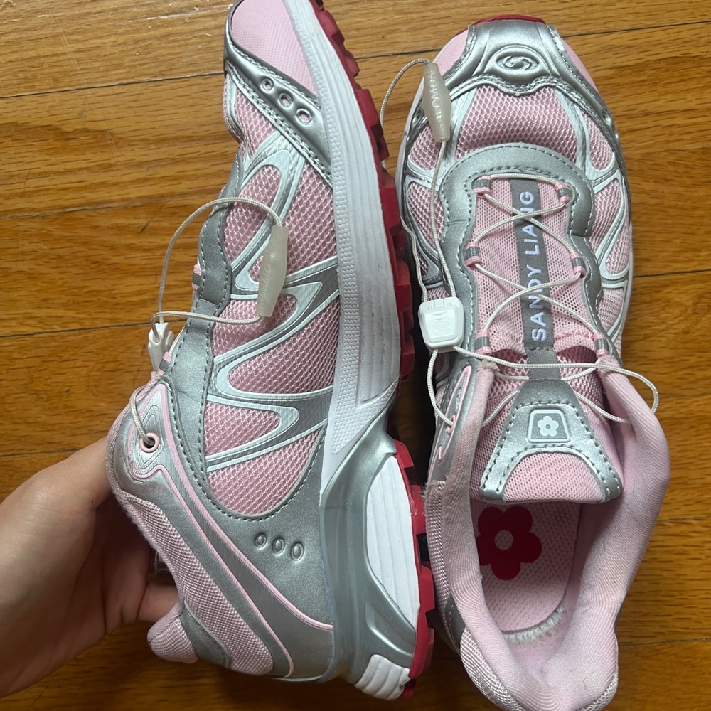 Sandy Liang x Salomon xt-whisper